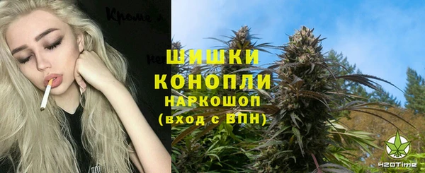 шишки Абдулино