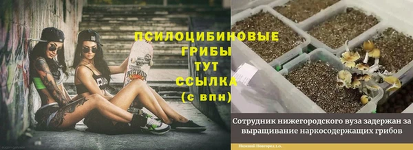шишки Абдулино