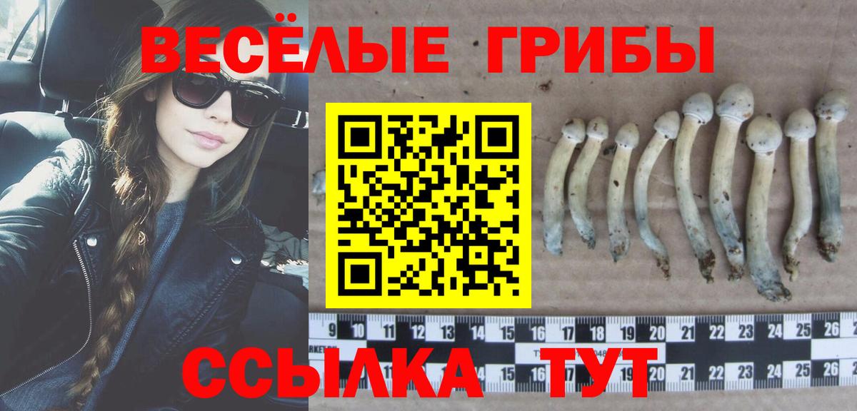 Балаково  Псилоцибиновые грибы Psilocybine cubensis  Псилоцибиновые грибы ЛСД  Вход с VPN 